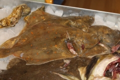 fiskekluben-rens-063