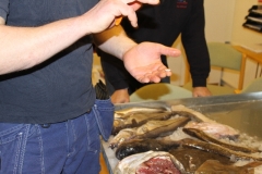 fiskekluben-rens-067_0