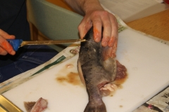 fiskekluben-rens-093
