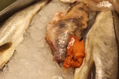 fiskekluben-rens-103